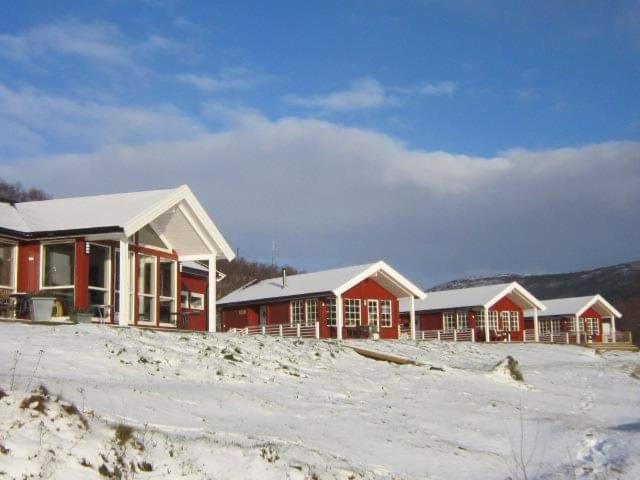 Levajok